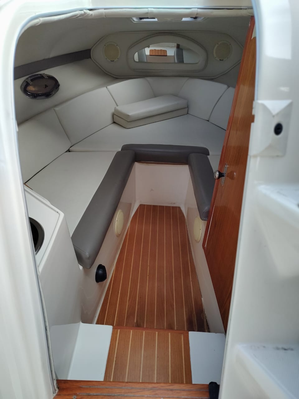 Canestrari Cuddy 245 2015 Volvo 270 DP